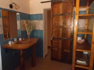 pajara1.png