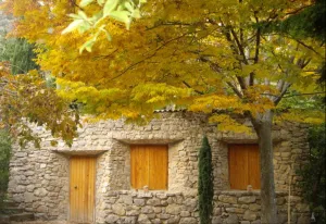 casita.png