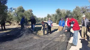 comenzamos-a-recoger-la-cosecha-1000x563.jpg