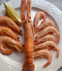hotel-restaurante-ciudad-martos-2.png