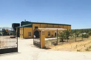 aceites-castellar.jpg