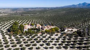 Cortijo%20El%20Madro%C3%B1o%20-%20X5%20-%20AEREO-4%20%281%29.jpg