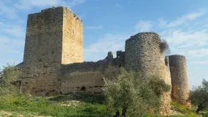 castillo-de-la-aragonesa-1-jpg