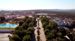 paseo-1-1-jpg