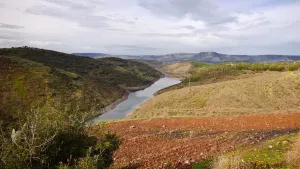 43bfe44f-fb3e-b00e-99ad-015db6e53e10?t=1616769905170