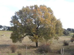 PB120096.JPG