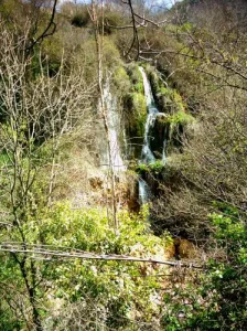 600_image_2.jpg