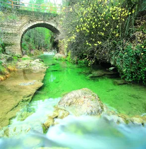 Natu217%20%281%29.jpg