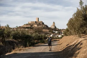 alcaudete-baena-3-jpg