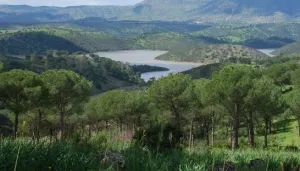 Sendero%20el%20Rumblar1..jpg