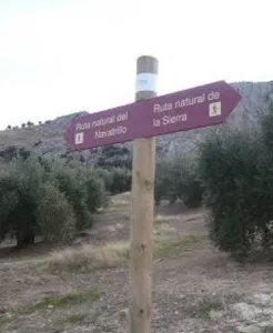 Ruta%20Natural%20del%20Puerto%20de%20Navatrillo.jpg