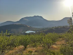 Campos_de_cerezos_y_Torres_al_fondo.jpg