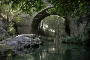 Puente%20de%20las%20Herreras.jpg