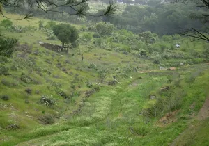 Sendero%20del%20Bronce.jpg