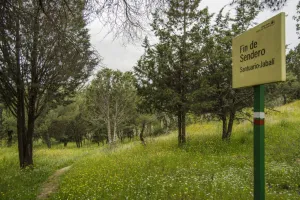 Ruta%20Santuario-Jabal%C3%AD.jpg